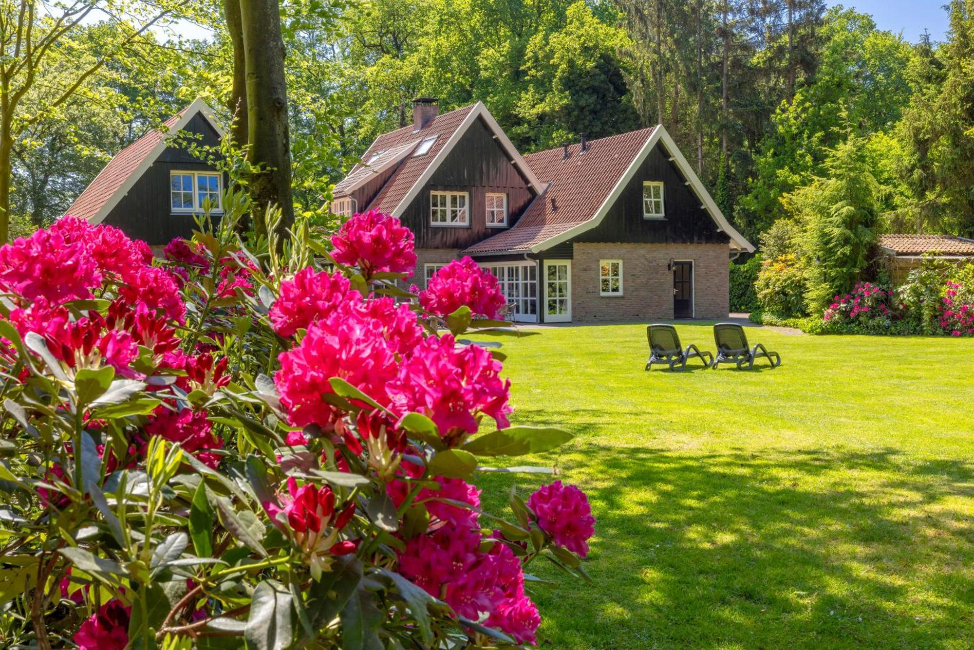 't Borghuis Villa Losser Buitenkant foto